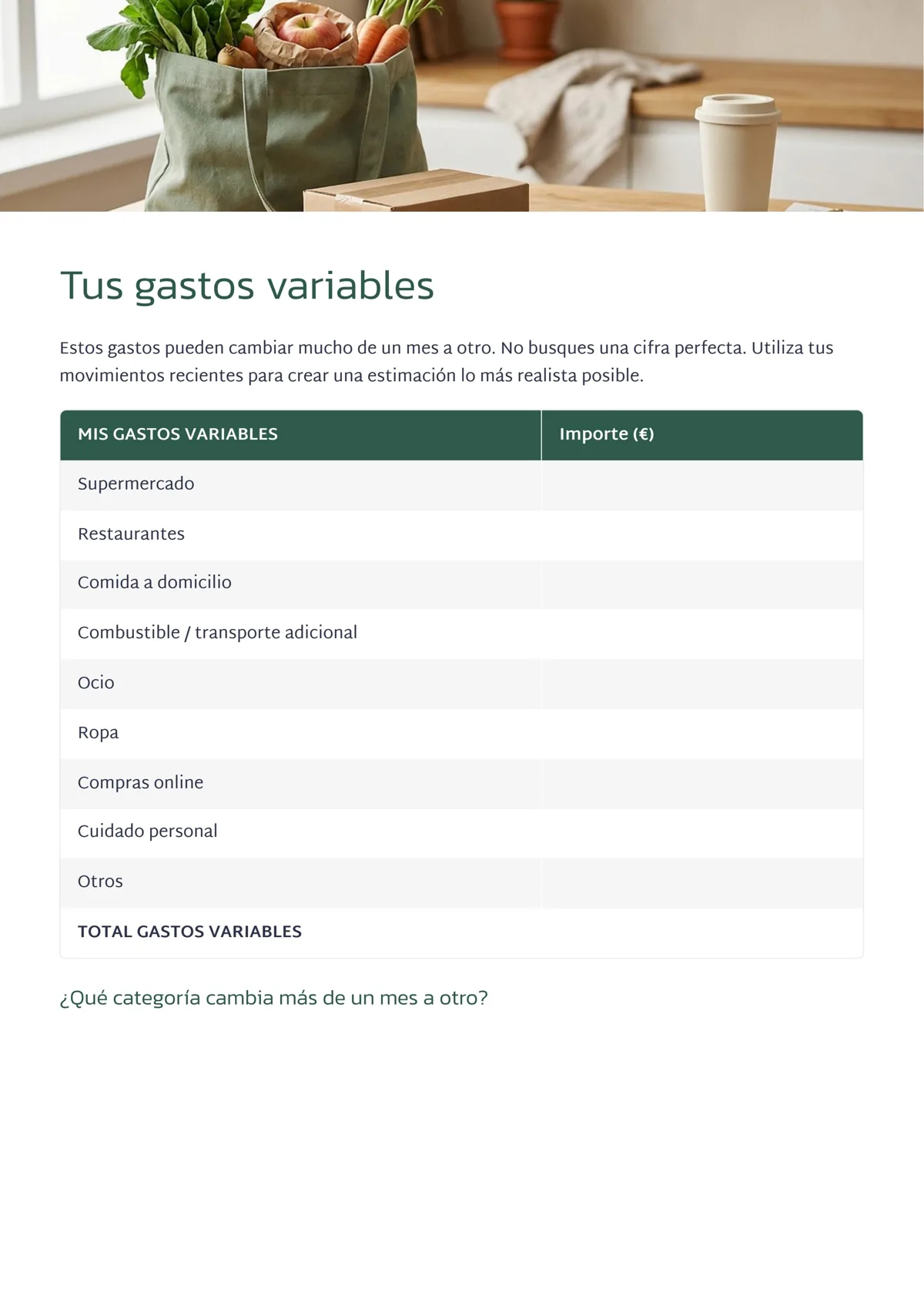 Página del ebook: Tabla de gastos variables